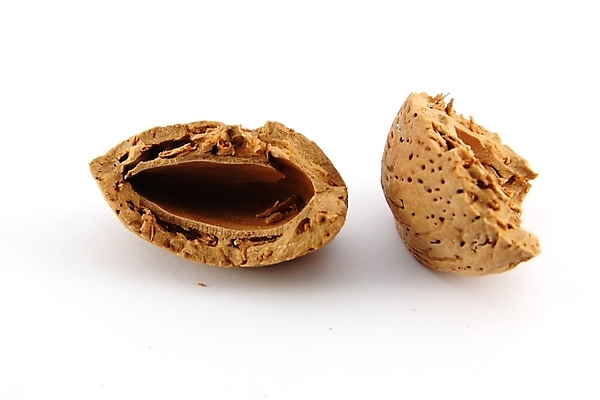 포토 JPG 해외이미지 음식 백그라운드 재료 건강 요리 씨앗 사람없음 갈색 미국 견과류 흰색 맛 굽기 먹기 묘사 유기농 알맹이 영양 호두 성분 내추럴 고립 식용 피칸 헤이즐넛 개암 해외포토 식물 웰빙 열매 컬러 컨셉 북아메리카 모션 구이 파일형식 이미지허브