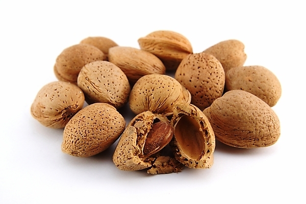 포토 JPG 해외이미지 음식 백그라운드 재료 건강 요리 씨앗 사람없음 갈색 미국 견과류 흰색 맛 굽기 먹기 묘사 유기농 알맹이 영양 호두 성분 내추럴 고립 식용 피칸 헤이즐넛 개암 해외포토 식물 웰빙 열매 컬러 컨셉 북아메리카 모션 구이 파일형식 이미지허브