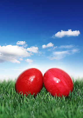 포토 JPG 해외이미지 구름 전통 디자인 계절 꽃 행복 기독교 종교 음식 백그라운드 꽃무늬 패턴 자연 하늘 휴가 부활절 창조 선물 초원 사람없음 장식 빨간색 초록색 컬러풀 계란 페인트 놀람 봄 축하 토끼 둥지 4월 수집 심볼 고립 해외포토 자연요소 식물 기념일 감정 컬러 컨셉 무늬 포유류 표정 반려동물 알 날짜 생태계 파일형식 이미지허브