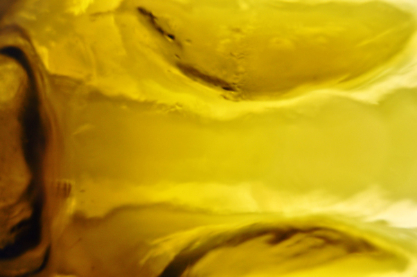 포토 JPG 해외이미지 모양 파도 백그라운드 패턴 유리 벽지 표면 추상 사람없음 빛 반사 노란색 거품 흐름 얼룩 투명 액체 황금 매끈함 그늘 묘사 질감 왜곡 미니멀 해외포토 바다 컬러 컨셉 무늬 재질 감각 파일형식 이미지허브