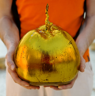 포토 JPG 해외이미지 식물 손 아시아 종교 여행 컨셉 신체 불교 과일 손가락 자연 표면 선물 씨앗 사람 사람없음 빛 탑 견과류 수확 사찰 황금 큼 팔 미얀마 제단 해외포토 건축물 나라 농업 종교건축 신체부위 크기 생태계 파일형식 이미지허브