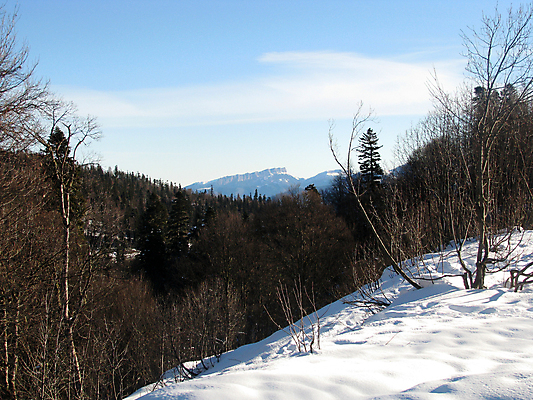 포토 JPG 해외이미지 식물 구름 유럽 여행 겨울 자연 하늘 풍경 사람없음 목재 뷰티 등산 소나무 정상 러시아 암초 절정 해외포토 자연요소 나무 계절 나라 재료 트래킹 생태계 파일형식 이미지허브