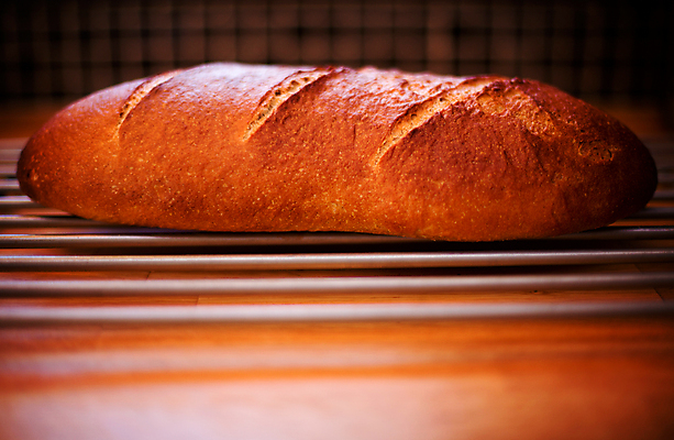 포토 JPG 해외이미지 음식 빵 건강 사람없음 갈색 시골 신선 밀 굽기 유기농 보리 덩어리 핸드메이드 해외포토 웰빙 컬러 곡류 구이 파일형식 이미지허브