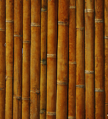 포토 JPG 해외이미지 나무 전통 디자인 아시아 선 벽 백그라운드 패턴 건축양식 벽지 추상 열대 사람없음 목재 장식 울타리 갈색 노란색 일본 중국 화목 줄무늬 나뭇가지 원형 막대기 선탠 보호 다발 배열 삼베 대나무 묘사 보따리 유기농 질감 나무껍질 내추럴 등나무 해외포토 도형 식물 웰빙 건축 나라 컬러 컨셉 무늬 재료 담장 껍질 파일형식 천_직물 이미지허브