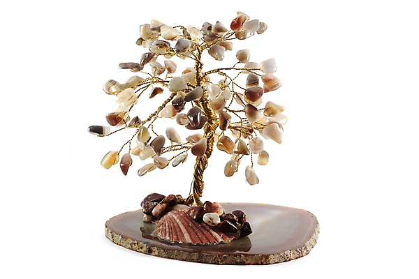 포토 JPG 해외이미지 나무 식물 행복 조각 돈 채소 창문 성공 미술 풍경 사람없음 목재 장식 빨간색 세트 조각상 숫자 침묵 경기장 피규어 바위 흰색 최고 행운 영혼 재산 오브젝트 대리석 고립 구리 놋쇠 철강 타격 해외포토 문자 감정 컬러 컨셉 재료 스포츠시설 모션 문화예술 금융 조형물 소리 미니어처 돌_바위 원소 파일형식 이미지허브