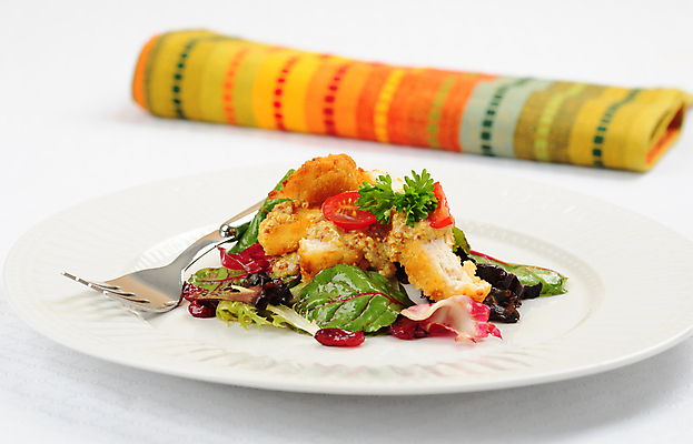 포토 JPG 해외이미지 음식 채소 건강 육류 사람없음 치킨 샐러드 신선 맛 빵가루 맛있는 해외포토 컨셉 식재료 닭고기요리 파일형식 이미지허브