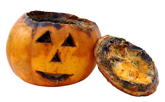 포토 JPG 해외이미지 전통 계절 음식 줄기 농업 채소 오렌지 과일 자연 호박 사람없음 장식 빛 손상 할로윈 등불 유기농 냄새 잭 10월 나쁜 고립 썩음 옛날 잭오랜턴 해외포토 식물 웰빙 산업 컨셉 조명 날짜 생태계 파일형식 이미지허브