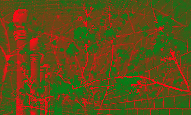 포토 JPG 해외이미지 나무 디자인 종이 백그라운드 크리스마스 건축양식 추상 휴가 사람없음 장식 빨간색 초록색 컬러풀 뷰티 축제 수확 나뭇가지 기둥 질감 복고 엘리먼트 스타일 효과 해외포토 식물 기념일 건축 컬러 무늬 농업 파일형식 이미지허브