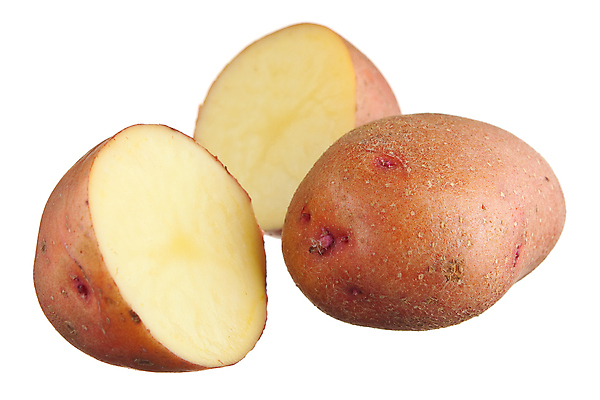 포토 JPG 해외이미지 음식 백그라운드 농업 채소 감자 사람없음 흰색 자르기 날것 내추럴 고립 밭일 해외포토 산업 컬러 모션 파일형식 이미지허브