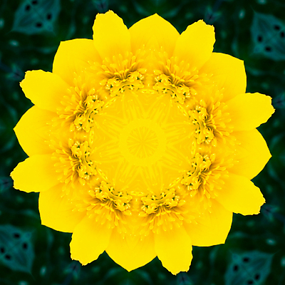 포토 JPG 해외이미지 꽃잎 꽃 백그라운드 꽃무늬 불교 추상 사람없음 치료 초록색 반사 노란색 3D 거울 원형 명상 만들기 신성 공상 대칭 만다라 만화경 해외포토 도형 식물 종교 컬러 무늬 의학 모션 장난감 디지털합성 파일형식 이미지허브