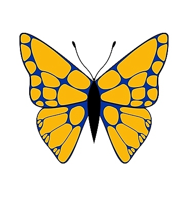 포토 JPG 해외이미지 클립아트 동물 나비 곤충 일러스트 자연 사람없음 그래픽 클립 생태학 해외일러스트 교육 생태계 파일형식 이미지허브