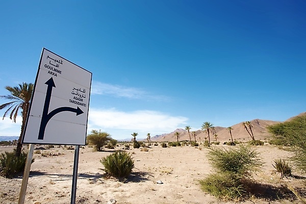 포토 JPG 해외이미지 나무 도로 선 모래 표시 하늘 거리 손바닥 사람없음 파란색 자료 사막 정보 도시 중앙 방향 사인 멀리 길이 남쪽 조언 해외포토 식물 손 길 컬러 교통시설 파일형식 이미지허브