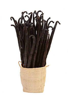 포토 JPG 해외이미지 음식 백그라운드 농업 자연 디저트 콩 요리 사람없음 갈색 검은색 어둠 흰색 양념 맛 유기농 아로마 아로마테라피 내추럴 고립 꼬투리 마다가스카르 바닐라 버번 맛있는 해외포토 웰빙 산업 컬러 컨셉 곡류 생태계 테라피 파일형식 이미지허브