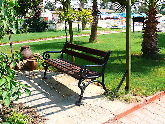 포토 JPG 해외이미지 나무 계절 공원 길 벤치 의자 자연 호텔 사람없음 야외 목재 초록색 정원 칠면조 내추럴 해외포토 식물 공공시설 컬러 가구 재료 조류 숙소 생태계 파일형식 이미지허브