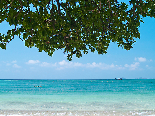 포토 JPG 해외이미지 나무 구름 아시아 바다 섬 여행 태국 자연 하늘 동양인 사람없음 파란색 보트 크루즈 다이빙 부표 내추럴 해외포토 자연요소 식물 나라 컬러 배_교통 인종 수영 생태계 수중스포츠 파일형식 이미지허브