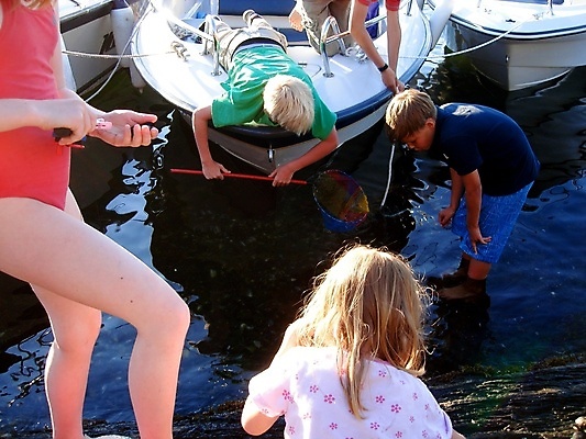 포토 JPG 해외이미지 라이프스타일 행복 어린이 바다 가족 자연 휴가 노르웨이 소년 야외 세명 물 햇빛 맑음 보트 즐거움 스칸디나비아 해외포토 자연요소 남자 감정 유럽 배_교통 관계 날씨 사람 생활 태양 생태계 파일형식 이미지허브