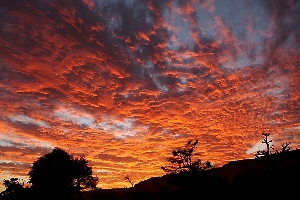 포토 JPG 해외이미지 음식 자연 아침 건조 사람없음 빨간색 빛 태양 노란색 일출 새벽 성장 야간 그림 내추럴 파멸 해외포토 주간 자연요소 컬러 컨셉 노을 생태계 파일형식 소멸 이미지허브