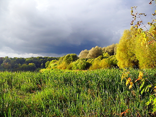 포토 JPG 해외이미지 나무 식물 구름 계절 공원 호수 백그라운드 잎 밭 자연 하늘 풍경 사람없음 야외 초록색 여름 뷰티 환경 맑음 봄 가을 흰색 나뭇가지 연못 신선 숲 땅 버드나무 싱글 장면 내추럴 모스크바 그리너리 해외포토 자연요소 공공시설 컬러 농업 날씨 생태계 러시아 파일형식 트랜드컬러 이미지허브
