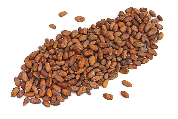 포토 JPG 해외이미지 백인 백그라운드 과일 콩 사람없음 갈색 초콜릿 흰색 날것 코코아 고립 마다가스카르 카카오 해외포토 서양인 음료 컬러 디저트 곡류 파일형식 이미지허브