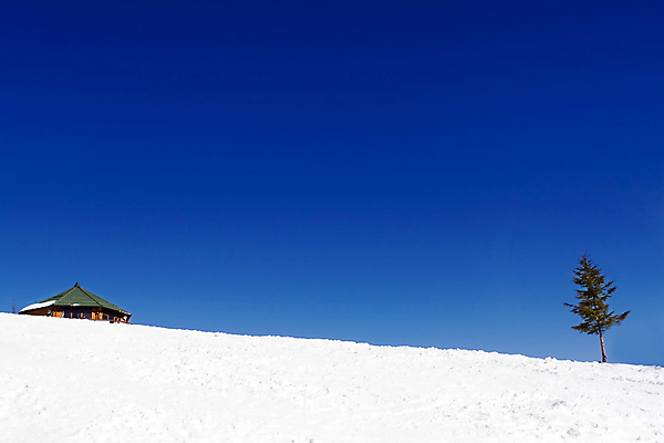 포토 JPG 해외이미지 외관 계절 유럽 여행 겨울 창문 자연 하늘 휴가 스키 휴식 주택 사람없음 야외 건물 목재 파란색 햇빛 얼음 침묵 추위 흰색 시골 오두막 시골집 장면 전나무 진짜 해외포토 자연요소 나무 건축물 나라 컬러 컨셉 재료 겨울스포츠 태양 소리 생태계 파일형식 이미지허브