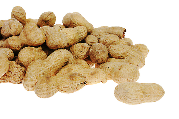 포토 JPG 해외이미지 건조 사람없음 갈색 껍질 땅콩 해외포토 컬러 견과류 파일형식 이미지허브