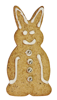 포토 JPG 해외이미지 크리스마스장식 크리스마스 새해 실내 사람없음 쿠키 달콤 흰배경 해외포토 기념일 백그라운드 디저트 내부 흰색 맛 파일형식 이미지허브