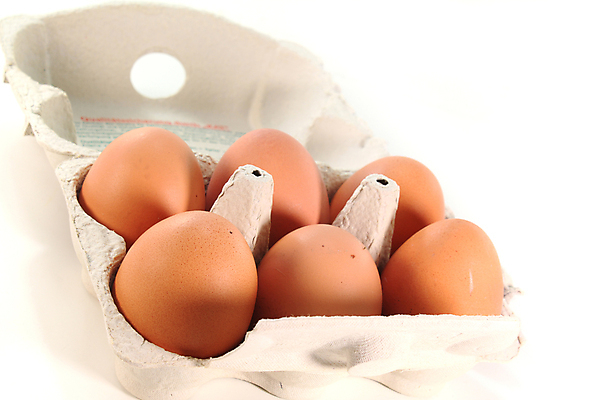 포토 JPG 해외이미지 사람없음 갈색 계란 튀김 신선 유기농 날것 건강식 판지 끓이기 해외포토 웰빙 음식 컬러 모션 알 파일형식 이미지허브