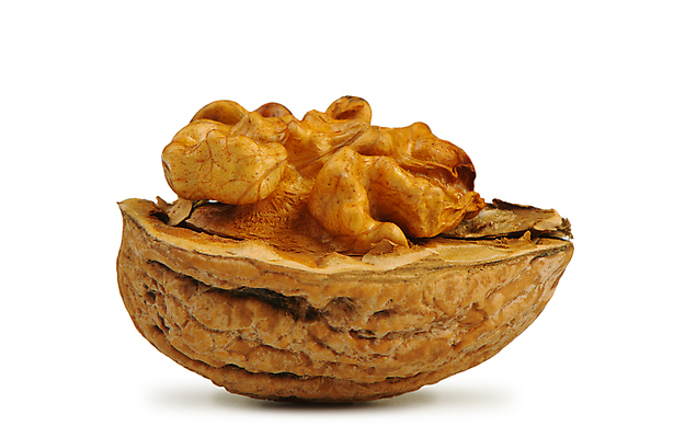 포토 JPG 해외이미지 음식 백그라운드 채소 과일 재료 부분 자연 추상 건조 건강 사람없음 가로 갈색 견과류 흰색 오픈 그룹 닫기 작음 먹기 가득함 오브젝트 유기농 슛 호두 다리찢기 고립 깨짐 해외포토 웰빙 컬러 컨셉 무늬 모션 크기 생태계 파일형식 이미지허브