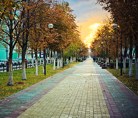 포토 JPG 해외이미지 모양 나무 식물 디자인 공원 도로 길 선 백그라운드 패턴 포장 자연 표면 추상 벽돌 거리 바닥 사람없음 야외 정원 산책 블록 회색 조약돌 흰색 보행로 오솔길 타일 질감 정사각형 땅바닥 방법 화강암 해외포토 도형 공공시설 컬러 무늬 교통시설 휴식 암석 돌_바위 생태계 파일형식 이미지허브