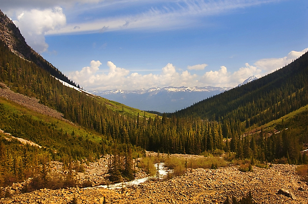 포토 JPG 해외이미지 공원 여행 잎 모션 자연 산 풍경 사람없음 야외 초록색 물 파란색 강 뷰티 평화 환경 골짜기 침묵 폭포 젖음 흐름 가을 바위 신선 개울 황무지 떨어짐 숲 암초 아르헨티나 내추럴 해외포토 자연요소 식물 계절 공공시설 컬러 컨셉 소리 돌_바위 남아메리카 생태계 파일형식 이미지허브