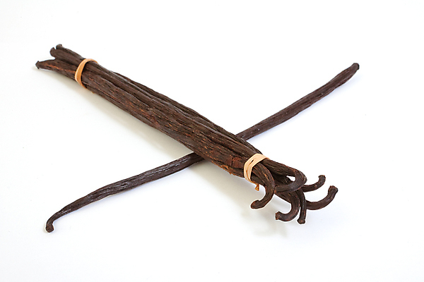 포토 JPG 해외이미지 음식 백그라운드 자연 디저트 콩 요리 씨앗 사람없음 갈색 어둠 흰색 달콤 맛 굽기 먹기 향신료 아로마 내추럴 고립 꼬투리 마다가스카르 바닐라 버번 맛있는 해외포토 식물 컬러 컨셉 모션 곡류 구이 생태계 향미료 파일형식 이미지허브