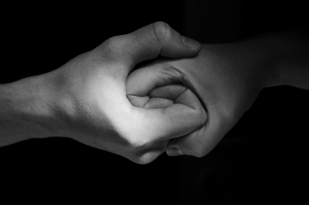 포토 JPG 해외이미지 손 문화 백그라운드 컨셉 2 신체 비즈니스 손가락 가족 관계 자연 함께함 사랑 사람 사람없음 빛 검은색 힘 거래 잡기 도움 끝 보호 접속 계약 확인 커뮤니티 팔 세대 떨림 돌봄 동의 소셜 헬프 해외포토 감정 컬러 모션 신체부위 생태계 파일형식 이미지허브