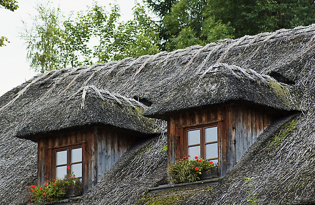 포토 JPG 해외이미지 전통 건축양식 창문 지붕 주택 사람없음 야외 건물 목재 농장 마을 수확 시골 닫기 오두막 묘사 시골집 장면 밀짚 볏집 옛날 해외포토 나무 건축물 건축 농업 재료 모션 짚 파일형식 이미지허브