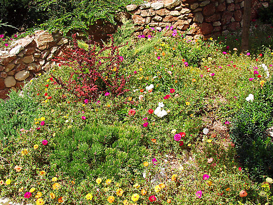 포토 JPG 해외이미지 나무 식물 디자인 공원 꽃 벽 백그라운드 잎 오렌지 자연 풍경 잔디 사람없음 야외 장식 가로 빨간색 초록색 여름 뷰티 우주 정원 보라색 침묵 봄 활발 벚꽃 바위 숲 땅 원예 장면 지역 멀티 해외포토 계절 공공시설 컬러 컨셉 과일 취미 소리 돌_바위 생태계 파일형식 이미지허브