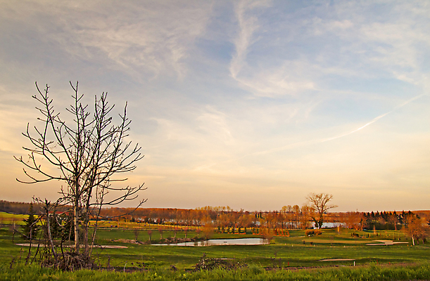 포토 JPG 해외이미지 나무 식물 라이프스타일 계절 도로 모래 스포츠 백그라운드 밭 골프 자연 놀이 하늘 휴가 새로움 건강 풍경 잔디 초원 사람없음 야외 초록색 여름 파란색 컬러풀 운동 농장 우주 봄 가을 게임 깃발 오픈 숲 강의 땅 언덕 장면 내추럴 해외포토 길 컬러 컨셉 농업 교통시설 생활 구기 생태계 파일형식 이미지허브