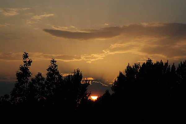 포토 JPG 해외이미지 자연 사람없음 목재 물 침묵 야간 저녁 러시아 해외포토 자연요소 나무 유럽 재료 소리 생태계 파일형식 이미지허브