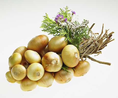 포토 JPG 해외이미지 음식 채소 재료 전구 양파 실내 건강 사람없음 내부 인테리어 닫기 묘사 성분 건강식 내추럴 영양분 정물화 채식주의자 많음 해외포토 디자인 컨셉 모션 그림 채식 파일형식 이미지허브