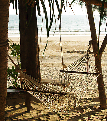 포토 JPG 해외이미지 나무 계절 행복 모래 파도 바다 섬 여행 백그라운드 자연 휴가 휴식 사람없음 물 평화 기쁨 자유 만 거짓말 해외포토 자연요소 식물 감정 컨셉 생태계 파일형식 이미지허브