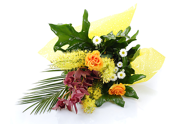 포토 JPG 해외이미지 식물 디자인 꽃잎 꽃 꽃다발 백그라운드 잎 꽃무늬 오렌지 자연 선물 사람없음 장식 초록색 뷰티 봄 벚꽃 흰색 축하 신선 난초 다발 꽃집 내추럴 고립 캐모마일 해외포토 계절 컬러 컨셉 무늬 과일 상점 허브 생태계 파일형식 이미지허브