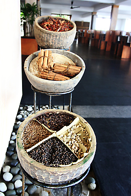 포토 JPG 해외이미지 음식 백그라운드 재료 자연 건조 종류 요리 씨앗 사람없음 목재 장식 빨간색 세트 햇빛 갈색 주방 식당 카페 뜨거움 양념 고수 닫기 선택 맛 낟알 인도인 허브 유기농 매움 냄새 아로마 향료 향 레시피 후추 모음 내추럴 시나몬 해외포토 외국인 나무 식물 웰빙 컬러 컨셉 모션 동양인 한글 태양 상점 향신료 생태계 향기 파일형식 이미지허브