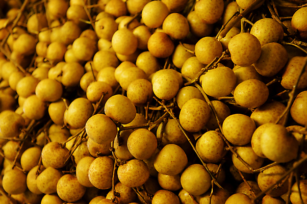 포토 JPG 해외이미지 계절 아시아 음식 농업 다이어트 오렌지 과일 태국 자연 건강 동양인 사람없음 컬러풀 갈색 노란색 쌓기 중국 신선 그룹 달콤 맛 다발 먹기 유기농 동쪽 내추럴 숙성 이국적 채식주의자 맛있는 해외포토 웰빙 나라 산업 컬러 컨셉 모션 인종 방향 생태계 채식 파일형식 이미지허브