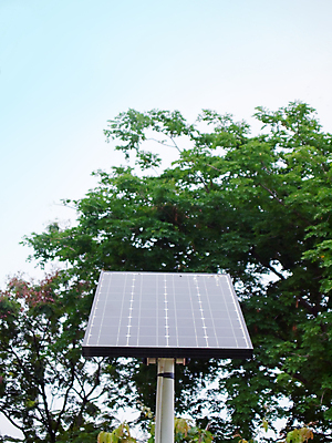 포토 JPG 해외이미지 나무 식물 공원 산업 지구 과학 컨셉 자연 하늘 추상 아이디어 세포 안전 사람없음 야외 글로벌 태양 농장 평화 환경 힘 재활용 발전기 에너지 시골 판넬 변화 보호 숲 에코 날것 시스템 자원 유지 내추럴 혁명 개발 생태학 공급 비용 해외포토 자연요소 공공시설 교육 무늬 농업 경제 발전소 친환경 생태계 파일형식 이미지허브