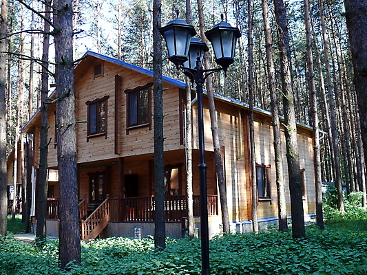 포토 JPG 해외이미지 나무 전통 외관 백그라운드 건축양식 창문 자연 지붕 주택 사람없음 건물 목재 갈색 마을 정원 시골 숲 시골집 해외포토 식물 건축물 건축 컬러 재료 생태계 파일형식 이미지허브