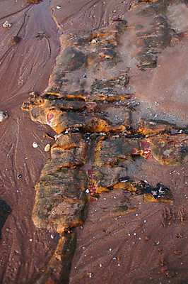 포토 JPG 해외이미지 모래 여행 백그라운드 자연 추상 휴가 건조 사람없음 모래사장 갈색 사막 모래언덕 해외포토 바다 컬러 무늬 언덕 생태계 파일형식 이미지허브