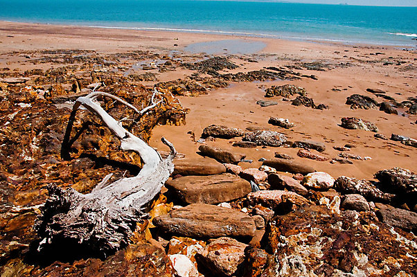 포토 JPG 해외이미지 야생동물 모래 바다 사람없음 물 파란색 태평양 해외포토 자연요소 동물 컬러 파일형식 이미지허브