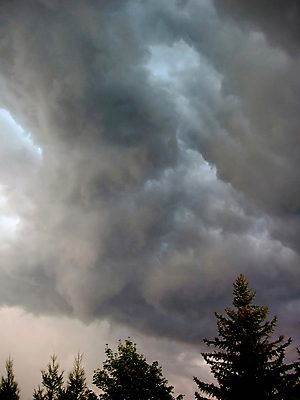포토 JPG 해외이미지 유럽 자연 날씨 사람없음 어둠 숲 폭풍 폭풍우 해외포토 나라 비_날씨 자연재해 생태계 파일형식 이미지허브