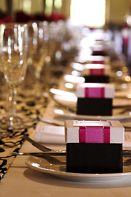 포토 JPG 해외이미지 그릇 식기 접시 리본 안경 분홍색 결혼 포크 탁자 선물 이벤트 사람없음 장식 식당 축하 냅킨 설정 해외포토 잡화 컬러 가구 컨셉 상점 파일형식 이미지허브