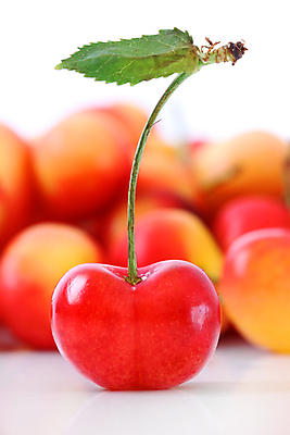 포토 JPG 해외이미지 식물 열매 음식 줄기 백그라운드 농업 다이어트 과일 재료 디저트 건강 사람없음 빨간색 물 빛 농작물 식사 침묵 젖음 수확 성장 흰색 물방울 신선 체리 달콤 맛 아침식사 이슬 먹기 유기농 날것 고립 숙성 식용 채식주의자 해외포토 자연요소 웰빙 산업 컬러 컨셉 모션 소리 채식 파일형식 이미지허브