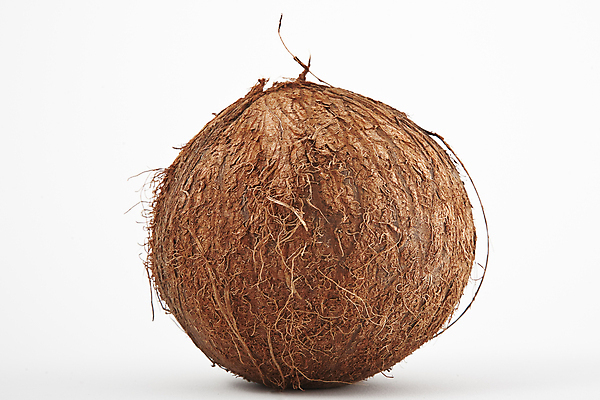 포토 JPG 해외이미지 식물 음료 음식 백그라운드 다이어트 과일 재료 자연 건강 손바닥 사람없음 목재 갈색 우유 견과류 껍질 흰색 신선 원형 달콤 먹기 가득함 그림 질감 코코넛 코코아 내추럴 고립 단절 이국적 채식주의자 해외포토 도형 나무 손 컬러 모션 유제품 맛 생태계 채식 파일형식 이미지허브