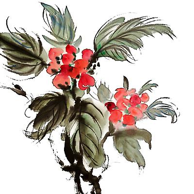 JPG 해외이미지 꽃 일러스트 붓터치 미술 사람없음 빨간색 먹 동양화 그림 번짐 해외일러스트 식물 컬러 서예 문화예술 파일형식 효과 이미지허브